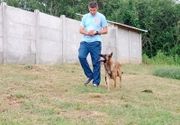 Čuvanje pasa i obuka 