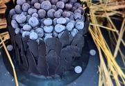 Rođendanska torta "Crna šuma"
