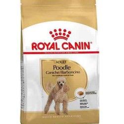 Royal Canin Poodle adult 1.5kg