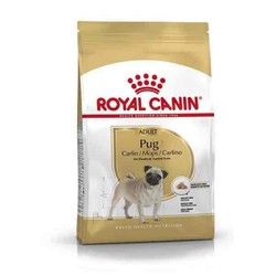 Royal Canin Pug adult 1.5kg 