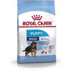 Royal Canin Puppy Maxi 4kg