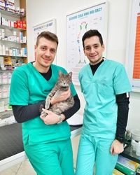 Da li bi trebalo kućnu macu vakcinisati i voditi na pregled kod veterinara? 