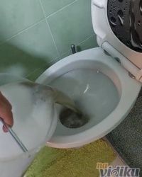 Dubinsko pranje kauca