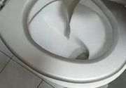 Profesionalno pranje duseka Novi Sad