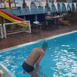 Skola plivanja Novi Beograd 