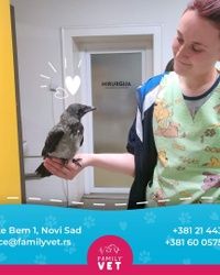 Veterinar za ptice Novi Sad
