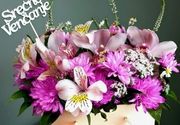 CVECARA NA ALTINI: 9 Razloga da posetite Cvećaru GREENFEEL