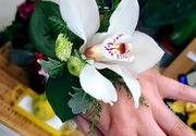 CVECARA NA ALTINI: 9 Razloga da posetite Cvećaru GREENFEEL