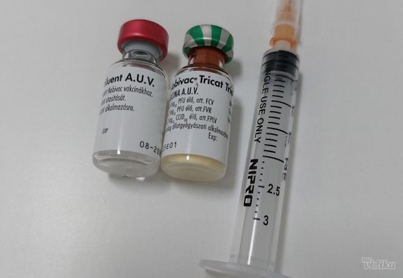 vakcinacija-macaka-cerak-adee82.jpg