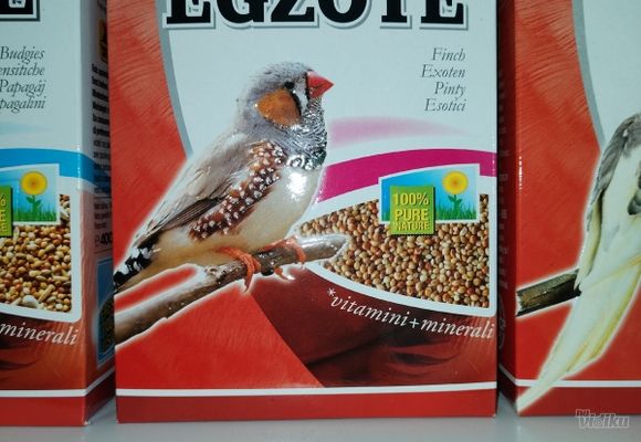 hrana-za-papagaje-721029-1.jpg