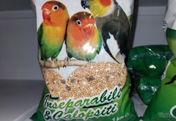 hrana-za-papagaje-721029-5.jpg