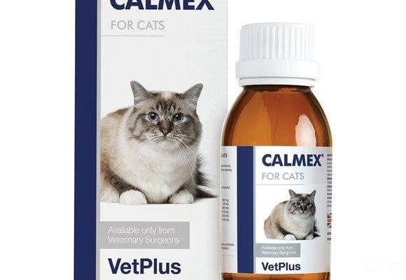 calmex-cat-168210.jpg