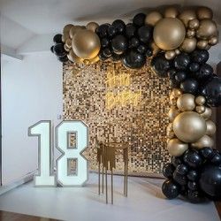 18 rodjendan dekoracija balonima Kragujevac,cena