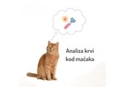Analiza krvi za macke Zarkovo