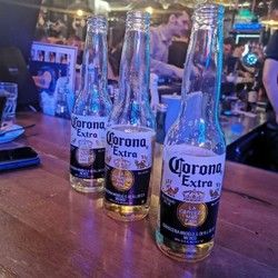 Corona pivo u pivnici Pivo i Kobaja