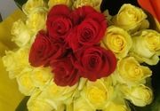 Buket sa 20 žutih i 5 crvenih ruža