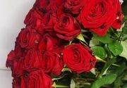 Buket crvenih ruža - Cvet express