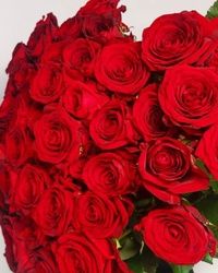 Buket crvenih ruža - Cvet express