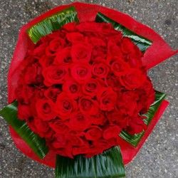 Buket 101 crvena ruža
