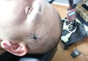 Besplatne tetovaze na licu Novi Sad