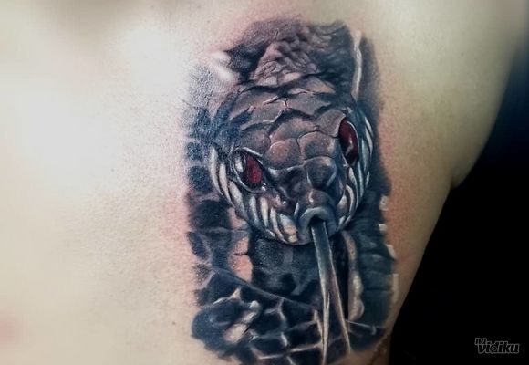 tetovaza-zmije-tension-tattoo-761f16.jpg
