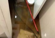Odgušavanje kanalizacije pod pritiskom WOMA mašinom