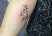 Tetoviranje u Novom Sadu Tension tattoo