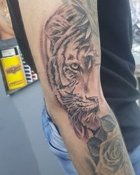 Tigar &Lav tattoo