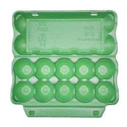 Stiropor kutija za jaja EB10 zelena