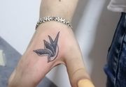 Lasta slike tetovaze Novi Sad