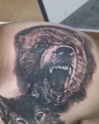 Tetovaze medveda