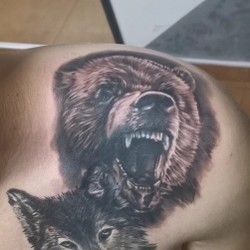 Tetovaze medveda