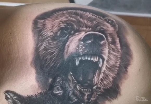 tetovaze-medveda-741938.jpg