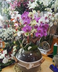 Orhideje u saksiji