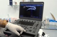 Ultrazvučna dijagnostika i specijalistički pregledi!