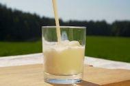 Kozje mleko - saveznik u očuvanju zdravlja!
