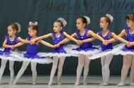 Koje vrste baleta postoje?