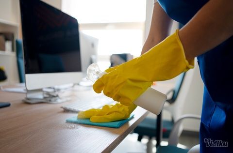 Blistavo čist dom bez muke - Agencije za čišćenje i tepih servisi Beograd