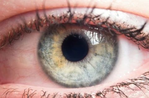 Pregled kod oftalmologa u Beogradu po najboljoj ceni