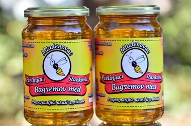 Prodaja meda danas: kako prepoznati pravi kvalitet u moru ponude?