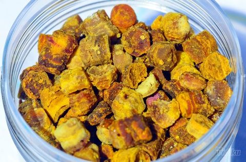 PERGA – pčelinji hleb i jedan od najvrednijih pčelinjih proizvoda