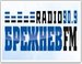 Brezhnev FM - Брежнев FM
