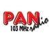Pan Radio