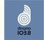 Dinamo radio